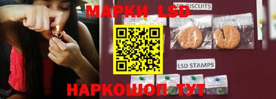 гидропоника Коммунар