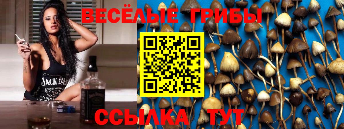 Галлюциногенные грибы ЛСД  Вход с VPN  Кинель 